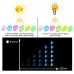 Thumbnail of Glow in the Dark Garden Pebbles